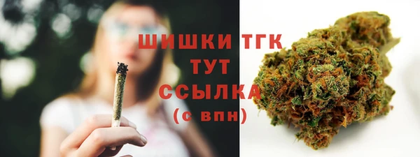 СК Пересвет
