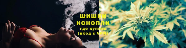 2c-b Пестово