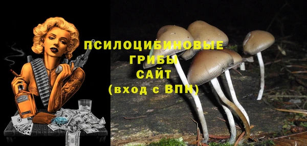 эйфоретик Переславль-Залесский