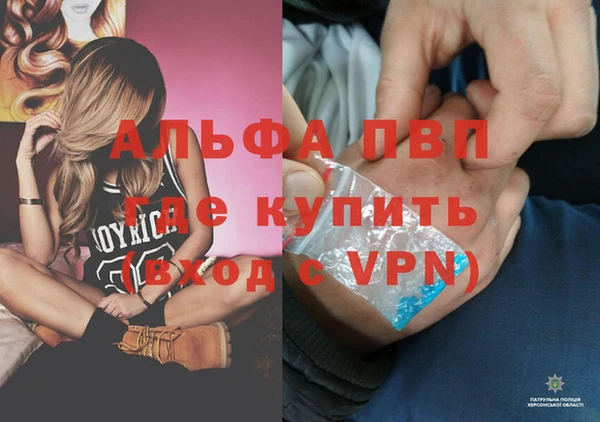 СК Пересвет