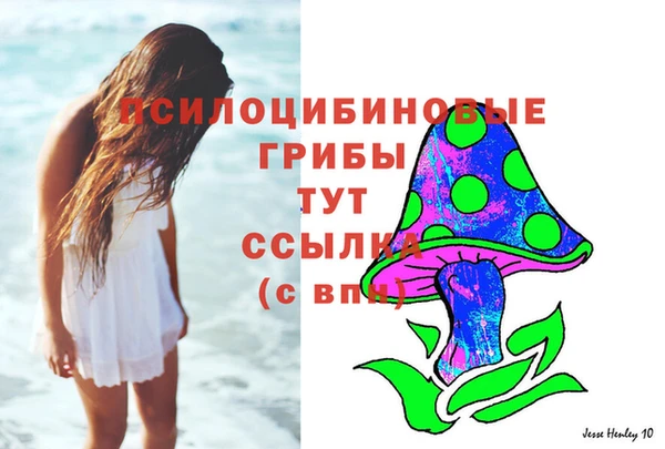 эйфоретик Переславль-Залесский