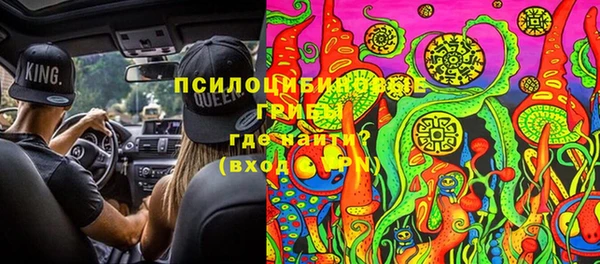 2c-b Пестово