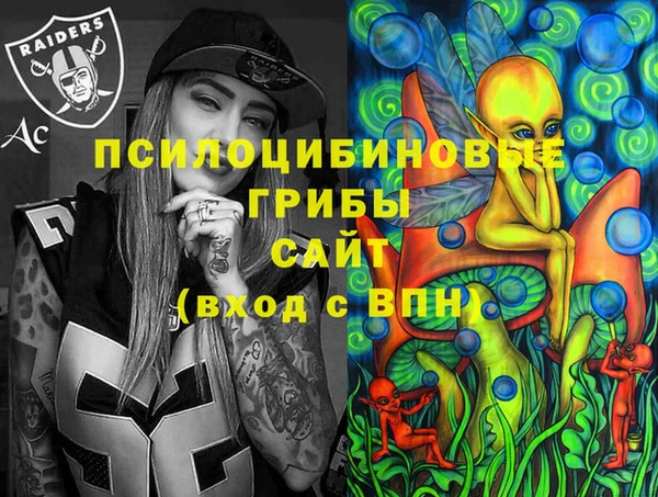 2c-b Пестово