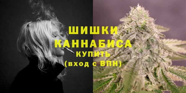 СК Пересвет