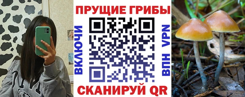 Псилоцибиновые грибы MAGIC MUSHROOMS  Купить где  Карачев 